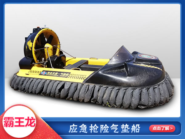 應急救援霸王（wáng）龍WX-2型氣墊船