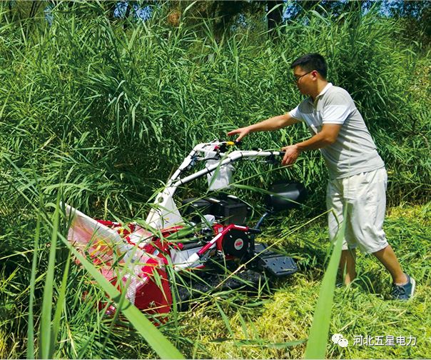 瓦爾特·禦虹”WX-800型（xíng）履帶自行走式（shì）堤防割草機