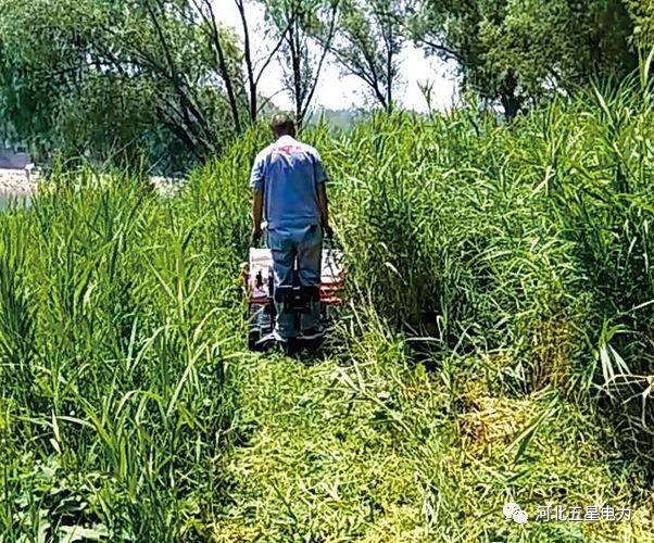 瓦爾（ěr）特·禦虹”WX-800型履帶自行走式堤防割草機